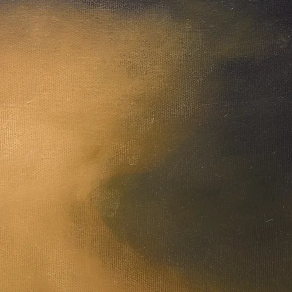 The Golden hour detail 4